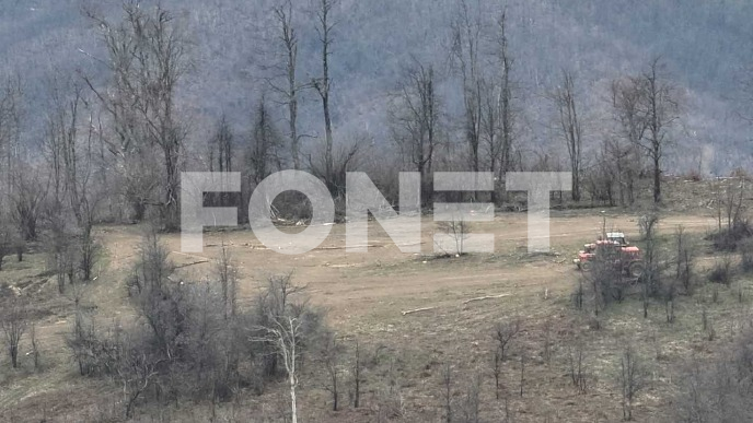 Krijumčarenje drva iz Srbije